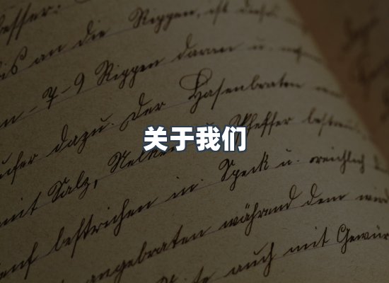 专业团队